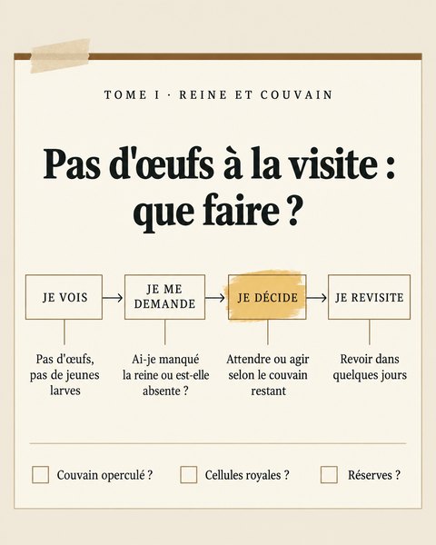 Tome I : pas d'œufs à la visite
