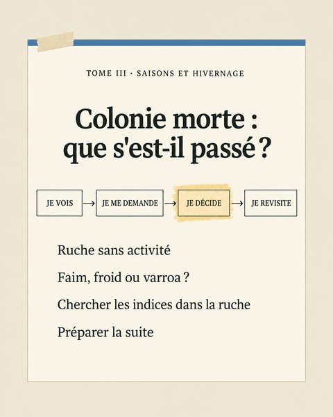 Tome III : colonie morte, que s'est-il passé